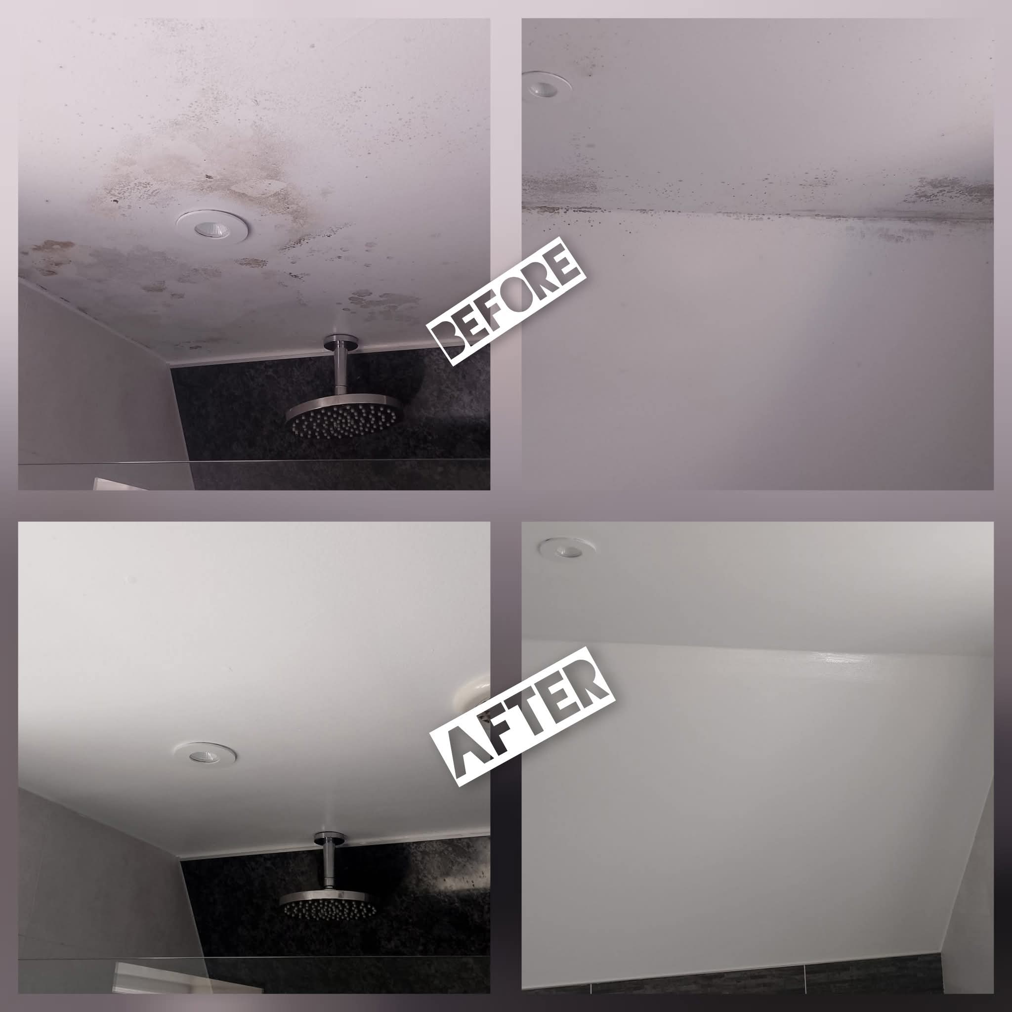 Ceiling damage repair