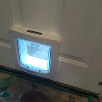cat flap